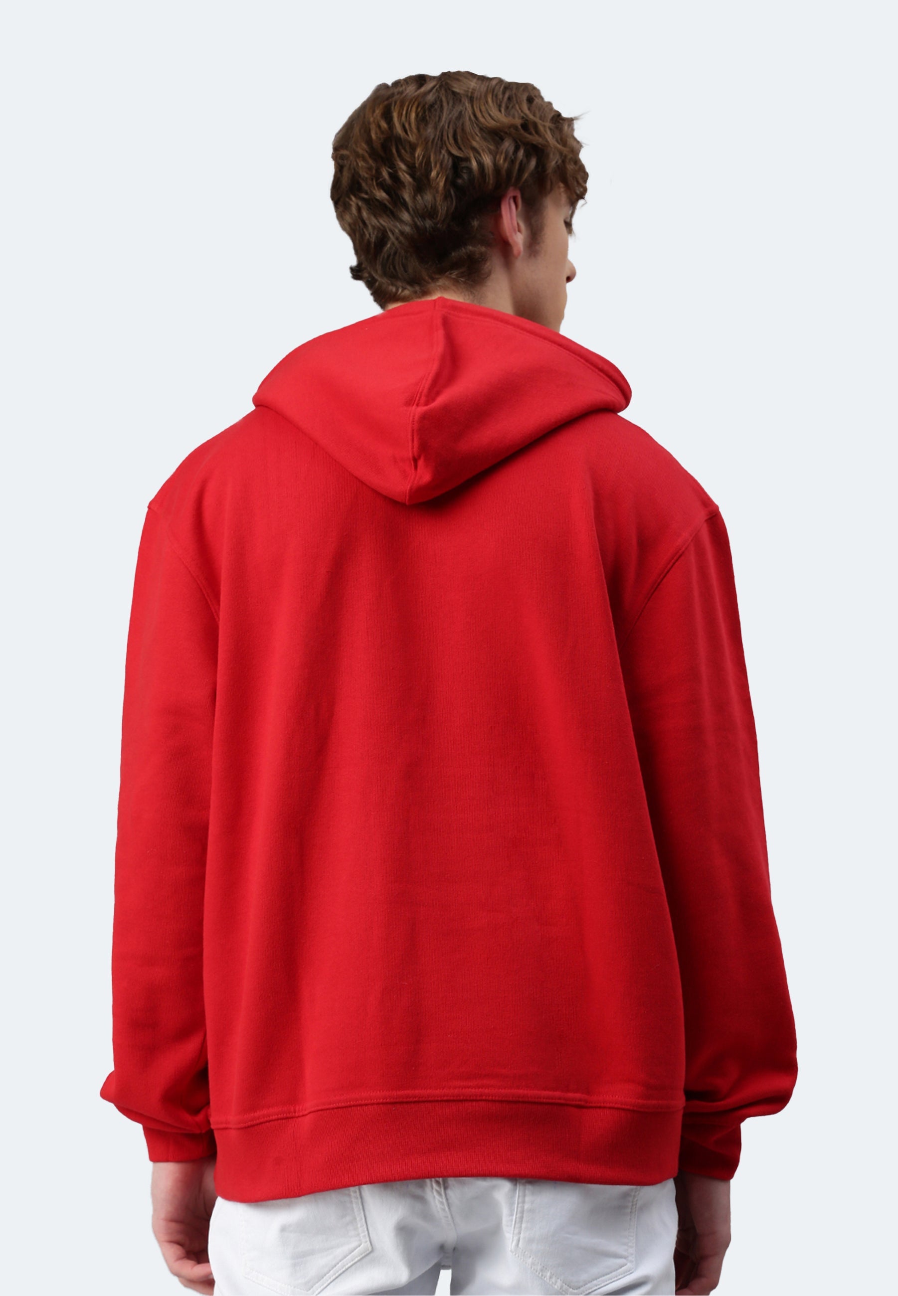 Premium Hoodie Ohio