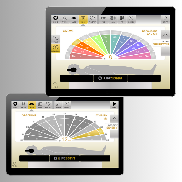 iLifeSOMM Software - Upgrade von digital Basic auf Professional