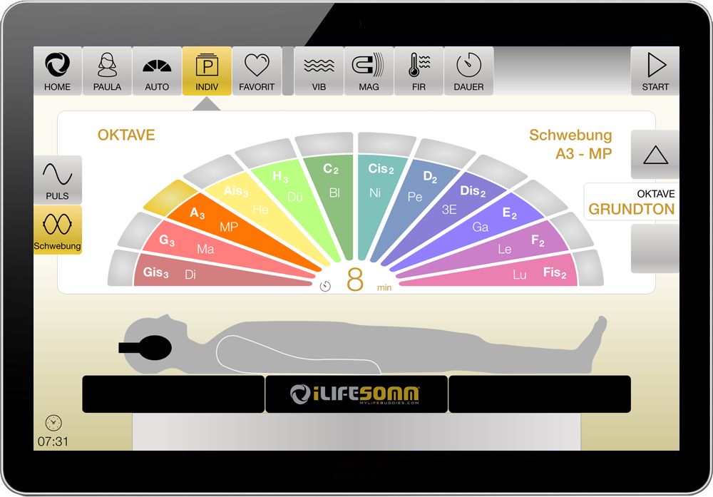 iLifeSOMM digital Professional - Mein Weg zu meiner Gesundheit